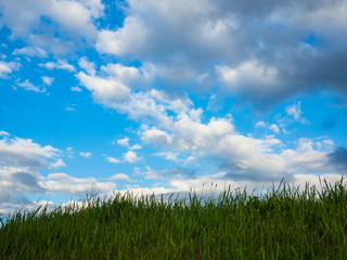 Fototapeta premium 雲と空