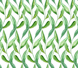 Fototapeta premium Floral Curly Pattern