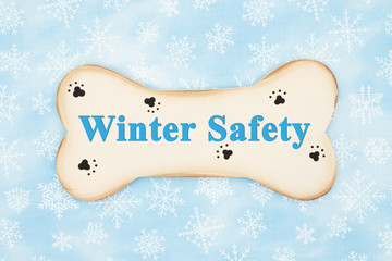 Winter Safety for your dog message with a wood dog bone