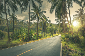 Coconut palms and road in tropical island with sunrise.