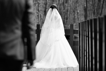 Back view of beautiful portrait wedding couple. Black and white photo.