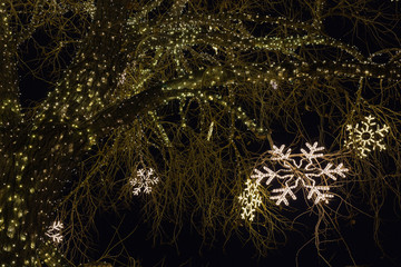 Snowflake Holiday lights at dusk in small town park