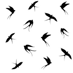 Seamless patterns with flying swallows. Vector shapes with transparent background.