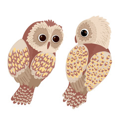 Two owls look at each other. Cute bright birds. Vector characters on white background