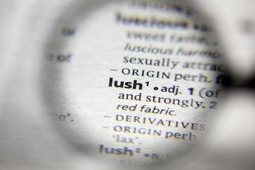 The word or phrase Lush in a dictionary.