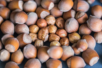  Photos of hazelnut name hazelnut