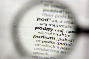 The word or phrase Podgy in a dictionary.