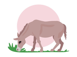 Donkey grazes on the field, eating grass. Animal from the farm. Animal print. Vector illustration.