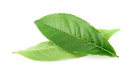 Obraz premium Liść zielonej herbaty na białym tle