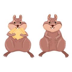 Hamster, pet, cartoon character design. Eats cookies. Vector illustration