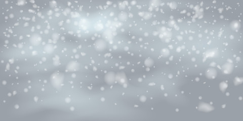 Snowflakes, snowfall.