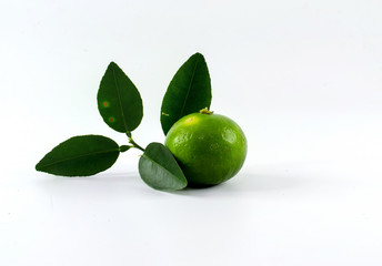 lime with leaves isolated on white background
