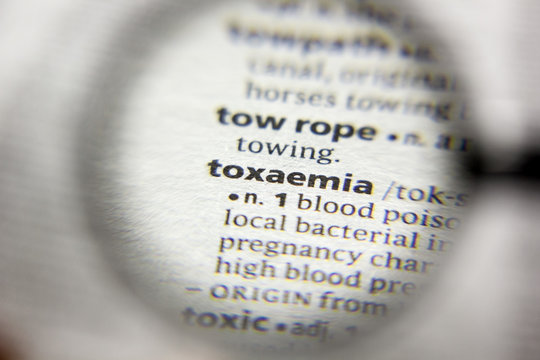 The word or phrase Toxaemia in a dictionary.