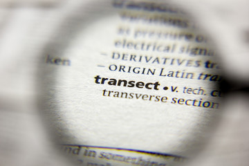 The word or phrase Transect in a dictionary.
