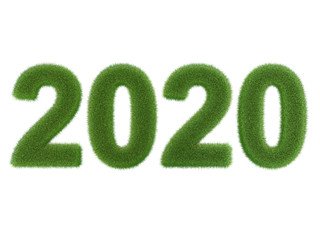 grünes Jahr 2020 aus Gras