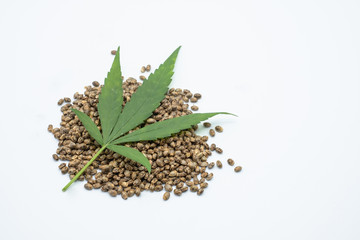 Hemp leaves are placed on seeds. White background The concept of medical marijuana in the treatment of diseases has.The cycle of marijuana use is refined CBD hemp oil.