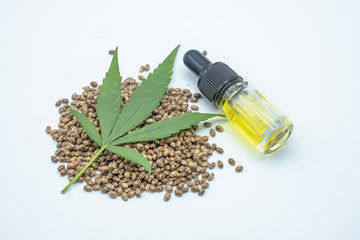 Hemp leaves are placed on seeds and CBD oil bottles. White background The concept of medical marijuana in the treatment of diseases has.The cycle of marijuana used is refined CBD hemp oil.