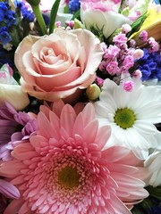 bouquet of flowers