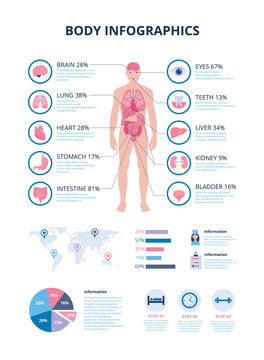 Medical body infographic with internal organs icons vector illustration isolated.