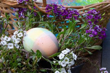 an easter egg placed in candy tuft leaves and blooms