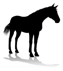 A horse animal detailed silhouette graphic