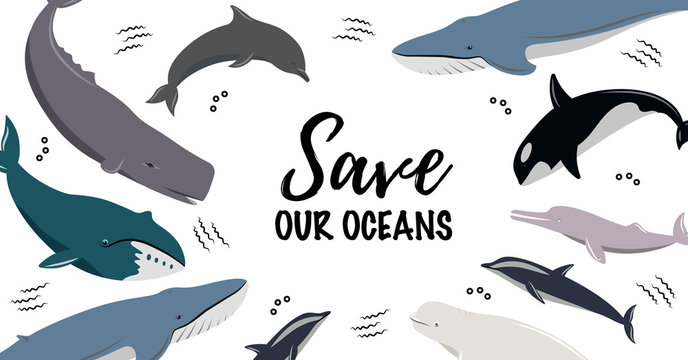 Banner With Text Save Our Oceans. Icons Of Different Whales And Dolphins. Cute Sea Animals.