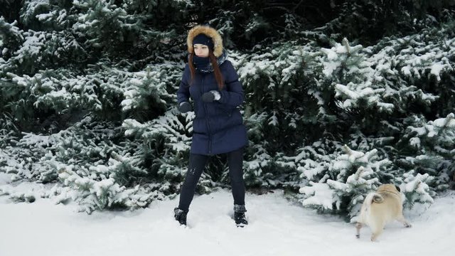 Crazy emotional dance from woman at snowy park, nearby funny pug dog pisses and marks a Christmas tree, concept of winter holidays celebrating
