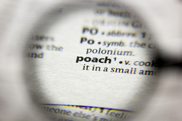 The word or phrase Poach in a dictionary.
