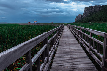 Wooden foot bridge leading into the lake with mountain and sky in background.