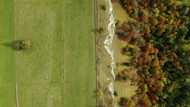 Top down aerial footage of sideways flight to the right over a cliff face onto autumn colored trees at Grenchenberg near Grenchen in Switzerland