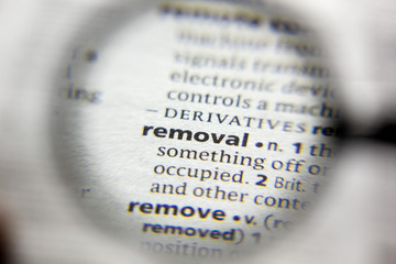 The word or phrase Removal in a dictionary.