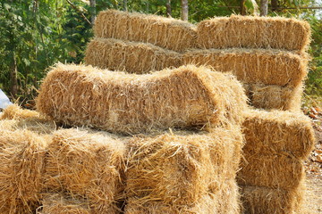 bales of hay