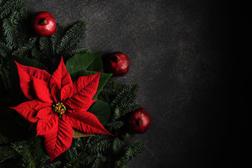 Christmas red poinsettia, pomegranates on dark background. Top view.