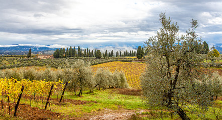 Tuscany Autumn Countryside Landscape in San Casciano in Val di Pesa