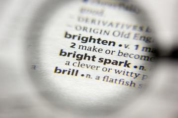 The word or phrase Bright spark in a dictionary.