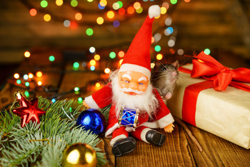 happy rat on with Santa Claus and gift on wooden background multicolored bokeh