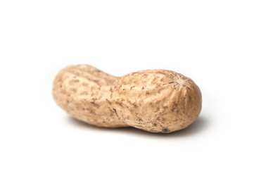 closeup of one organic peanut on white background