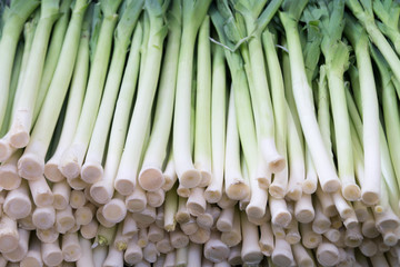 green vegetables. onion. green onion. kitchen herbs