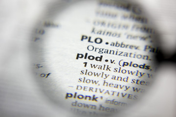 The word or phrase Plod in a dictionary.
