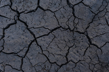 Background of parched and cracked ground