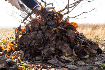 sources of land fertility