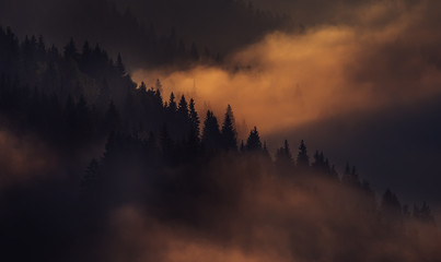 Fantastic view of the early morning in the mountains. Silhouettes of rows of fir trees on the slopes of the mountains in the sun and clouds of fog. Dark photo in the morning twilight. Dramatic fog and