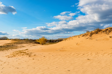 Semi-desert landscape with traces on sand on sunny autumn day
