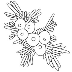 Vector doodle, abstract digital drawing. Creative design element for printing or digital art creating. Coloring book element.