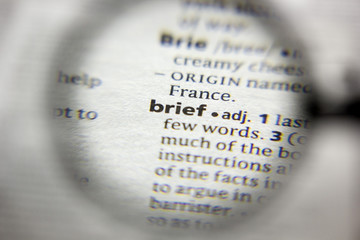 The word or phrase Brief in a dictionary.