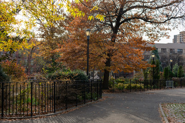 Naklejka premium Empty Walkway and Colorful Trees at Tompkins Square Park during Autumn in the East Village of New York City