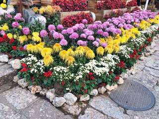 Landscaped Flowers in the garden