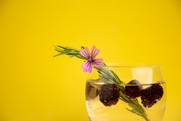 gin and tonic with blackberries, a sprig of rosemary and a flower of ornament