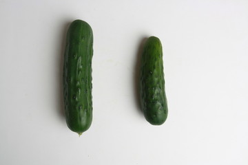 cucumber grown in Spain on colored background