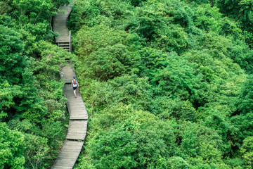 Man walking on path along with Ngong Ping 360 cable car to Lantau Island, Hong Kong (view from...